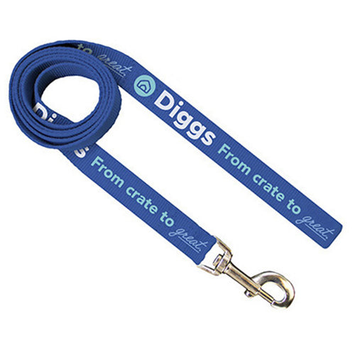 Pop Promos Custom Pantone Matched Screenprinted Leashes