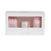 Venus Et Fleur Blush SuedeThe Classic Bundle