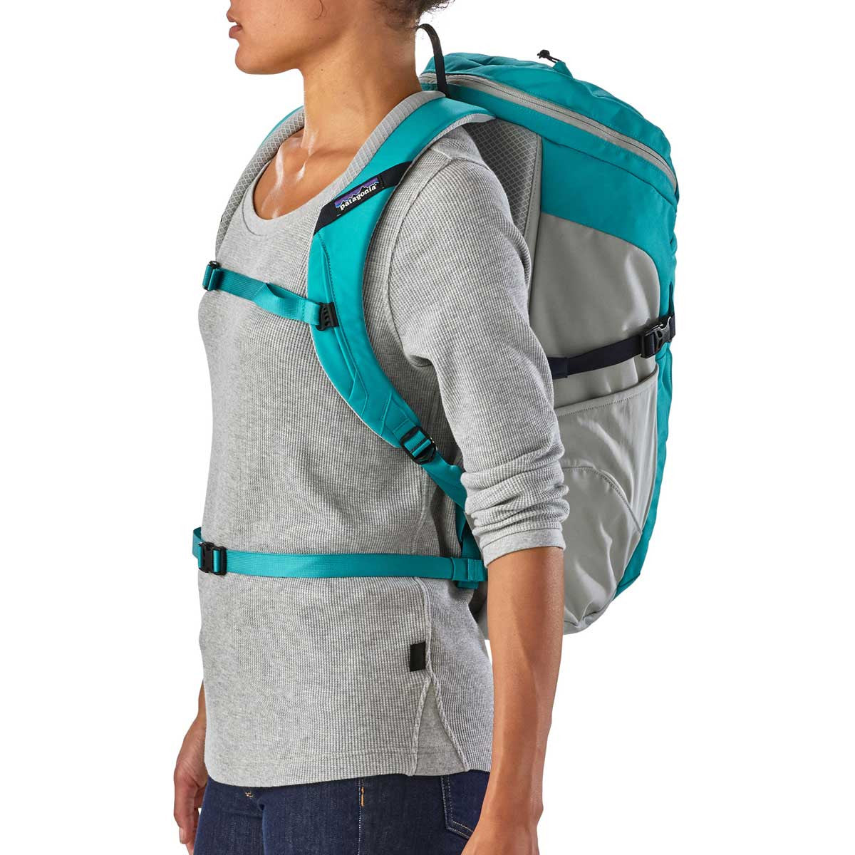 Patagonia 2024 petrolia backpack