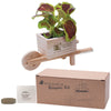 Illini Wooden Wheel Barrow Blossom Kit