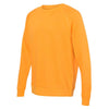 Alternative Apparel Men's Stay Gold Champ Lightweight Washed French Terry Pullover