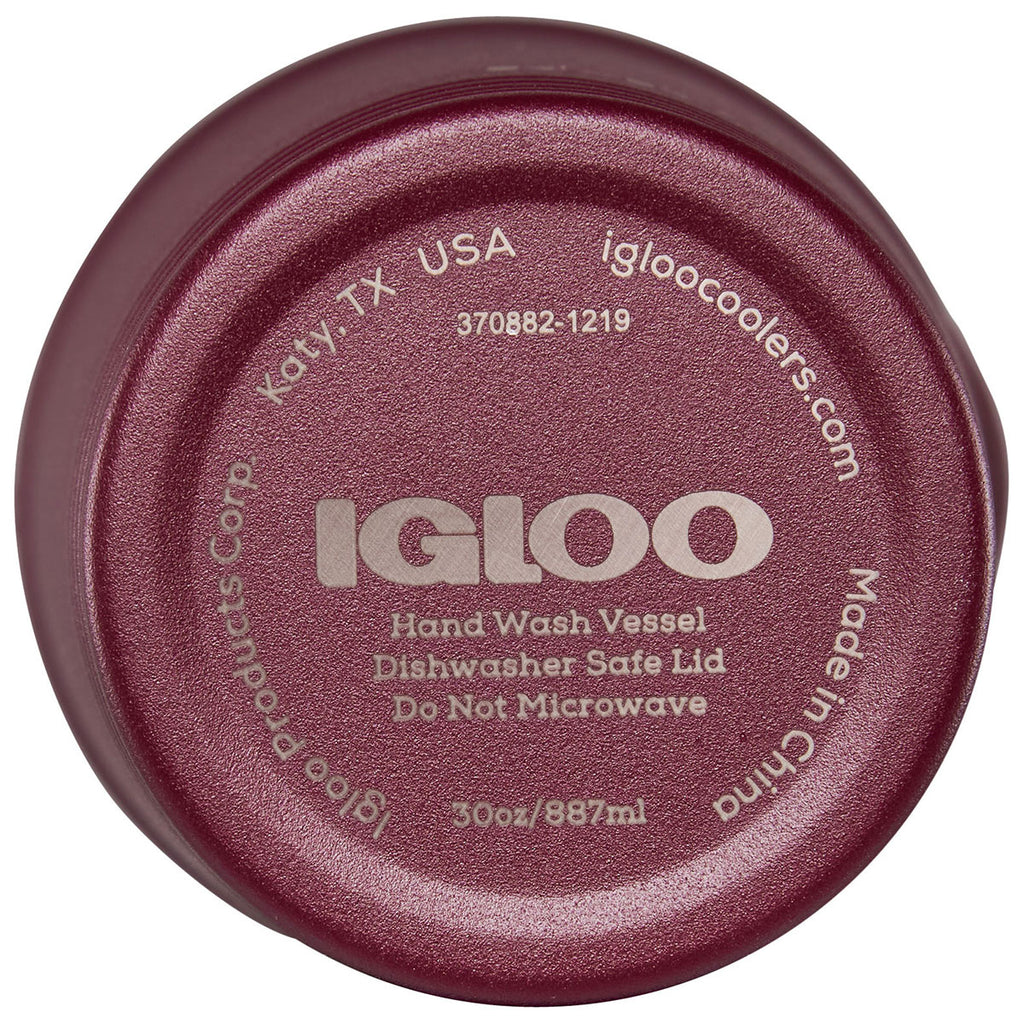 Igloo 30 oz. Vacuum Insulated Tumbler