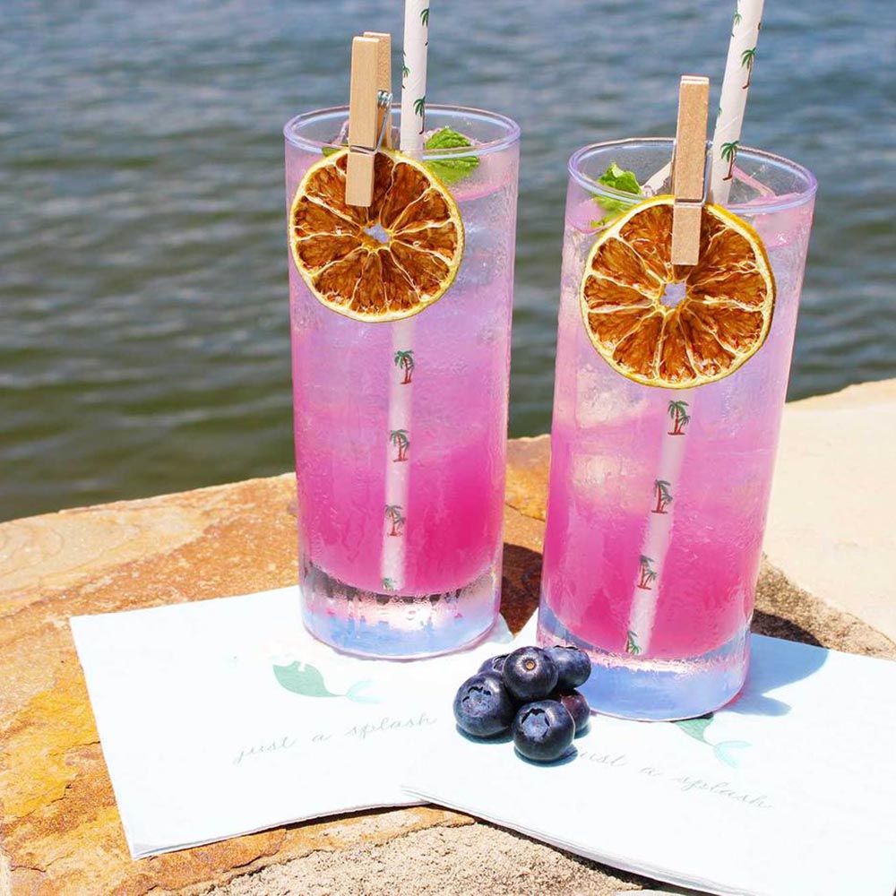 Blueberry Mojito Drink Kit